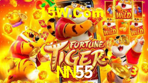 Premium Interface NN55